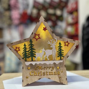 Decoratiune iluminata stea